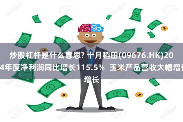 炒股杠杆是什么意思? 十月稻田(09676.HK)2024年度净利润同比增长115.5%  玉米产品营收大幅增长