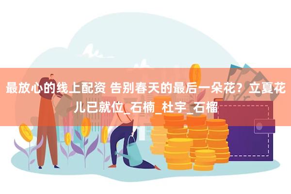 最放心的线上配资 告别春天的最后一朵花？立夏花儿已就位_石楠_杜宇_石榴