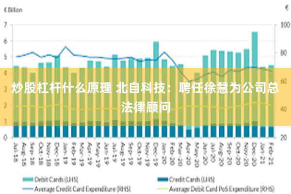 炒股杠杆什么原理 北自科技：聘任徐慧为公司总法律顾问