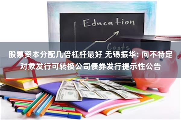 股票资本分配几倍杠杆最好 无锡振华: 向不特定对象发行可转换公司债券发行提示性公告