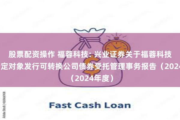 股票配资操作 福蓉科技: 兴业证券关于福蓉科技向不特定对象发行可转换公司债券受托管理事务报告(2024年度)