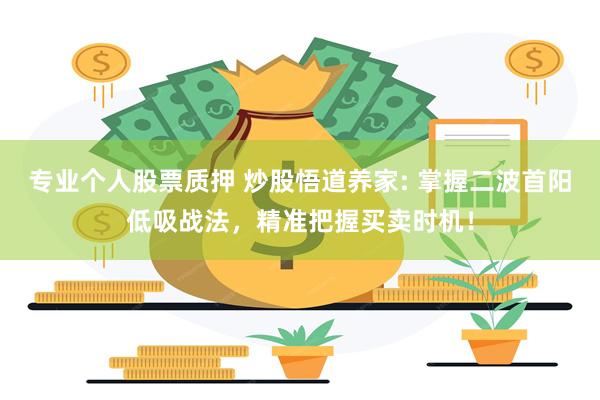 专业个人股票质押 炒股悟道养家: 掌握二波首阳低吸战法，精准把握买卖时机！