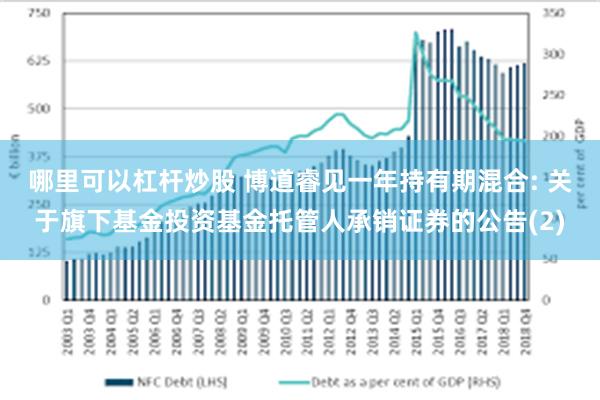 哪里可以杠杆炒股 博道睿见一年持有期混合: 关于旗下基金投资基金托管人承销证券的公告(2)
