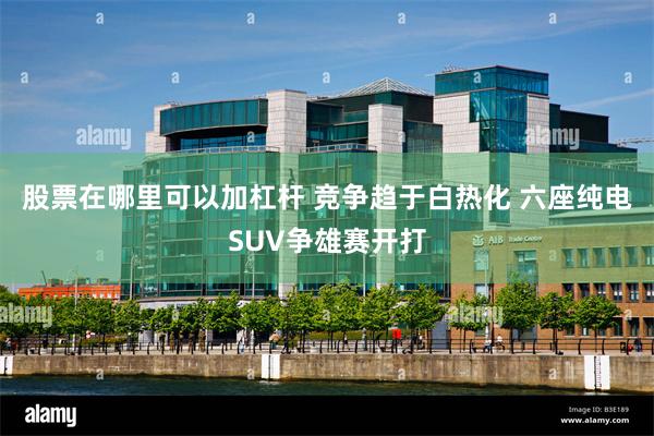 股票在哪里可以加杠杆 竞争趋于白热化 六座纯电SUV争雄赛开打