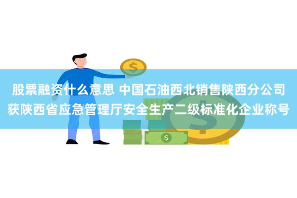 股票融资什么意思 中国石油西北销售陕西分公司获陕西省应急管理厅安全生产二级标准化企业称号
