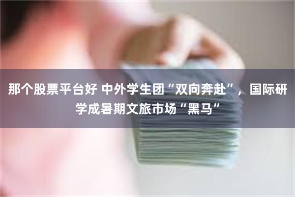 那个股票平台好 中外学生团“双向奔赴”，国际研学成暑期文旅市场“黑马”
