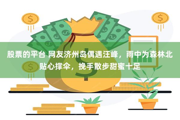 股票的平台 网友济州岛偶遇汪峰，雨中为森林北贴心撑伞，挽手散步甜蜜十足